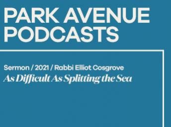 Rabbi Elliot Cosgrove: As Difficult as Splitting the Sea - April 6, 2021