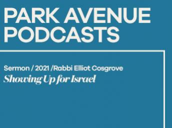 Sermon - Rabbi Cosgrove - 5.22.21 - Showing Up For Israel 
