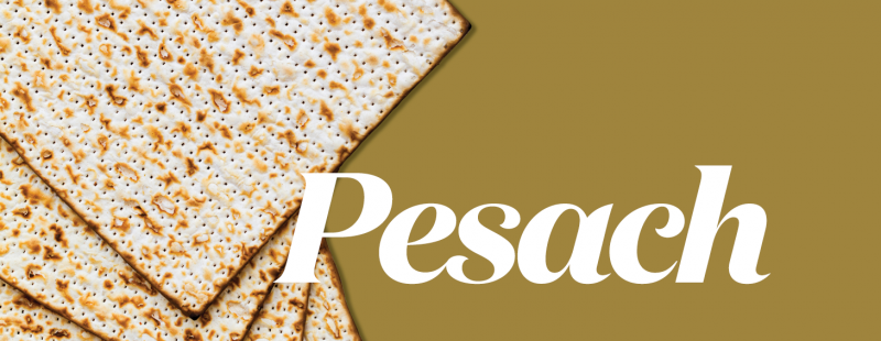 Pesach Guide 5780 2020 Park Avenue Synagogue - i will build a great wall song robloxr2da version