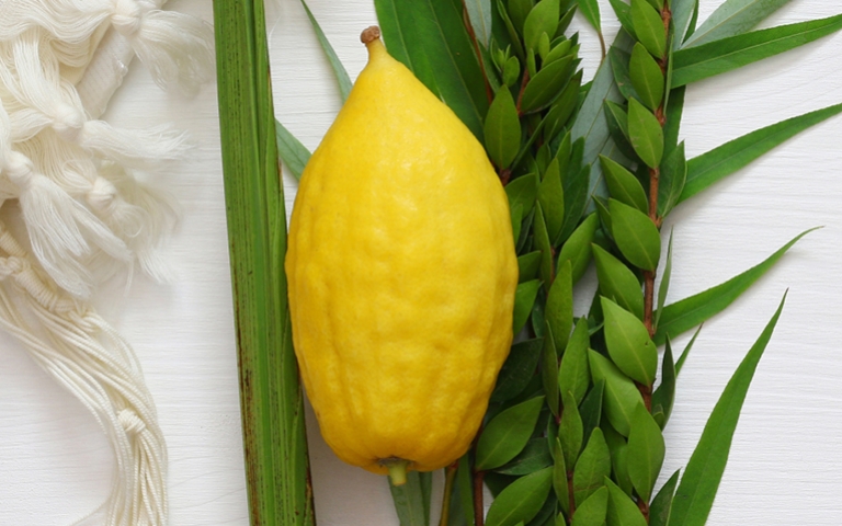 Sukkot